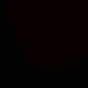 Meet your Posher, Charis